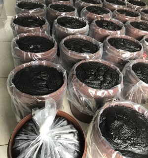 photo_6050921403630337950_y